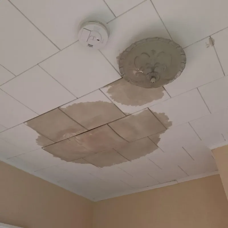 Ceiling Water Damage Repair in Cotton County, OK