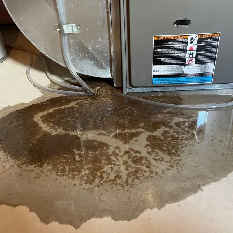 Pipe Burst and Leak Restoration in Cotton County, OK