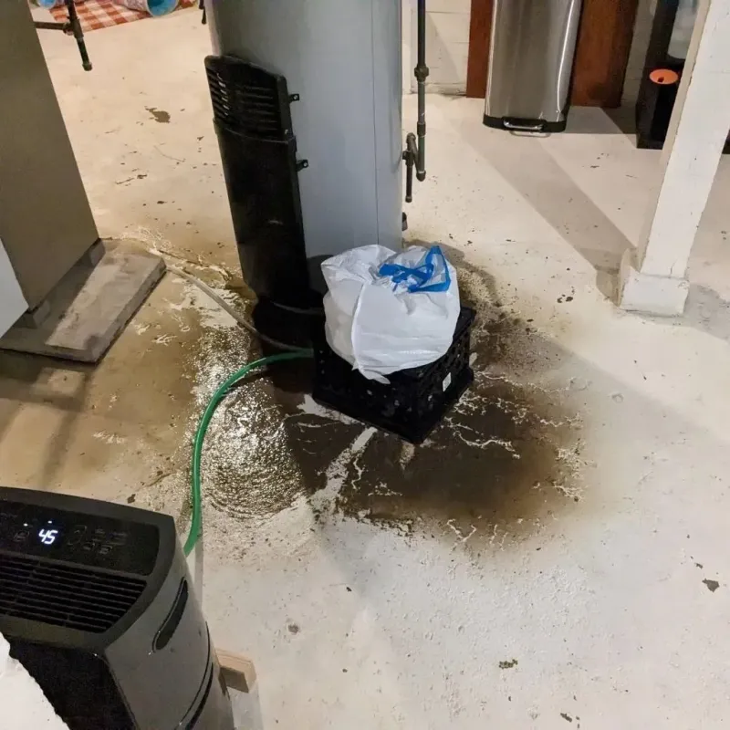Sewage Backup Cleanup Service in Cotton County, OK